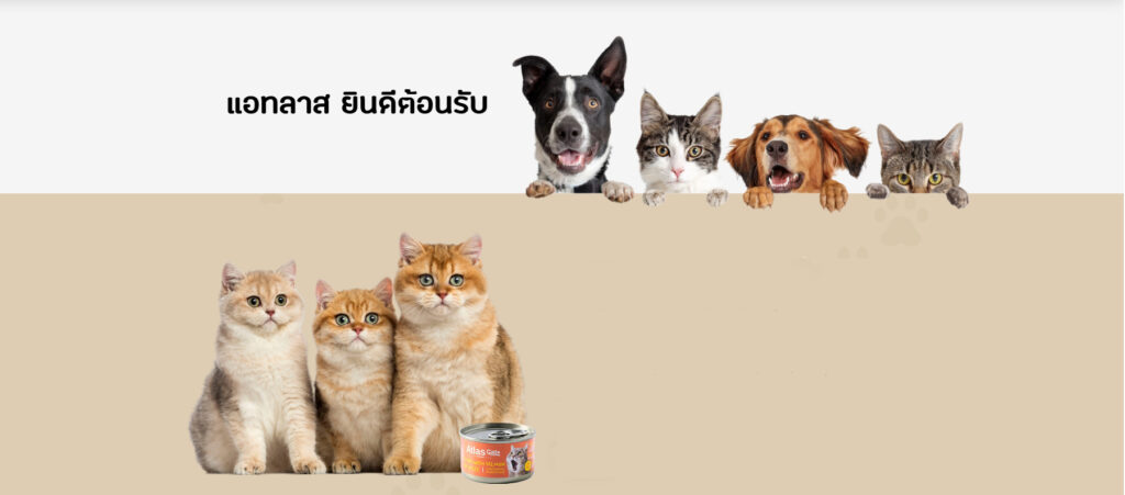 pet foods
